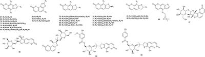 The traditional uses, pharmacology, and phytochemistry of Peucedanum praeruptorum Dunn